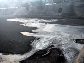 山西煤老板与水产品 跨界投资的风景与隐忧