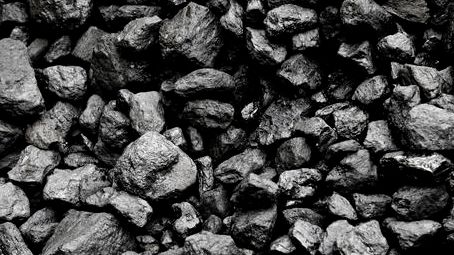 来宾市 大湾区企业入桂投资的水产新热土